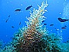 IMG_3192.JPG