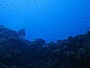 IMG_3193.JPG