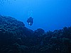 IMG_3194.JPG