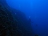 IMG_3199.JPG