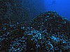 IMG_3200.JPG