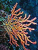 IMG_3205.JPG