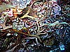 IMG_3210.JPG