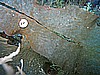 IMG_3212.JPG
