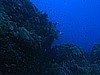 IMG_3213.JPG
