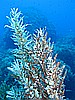 IMG_3214.JPG