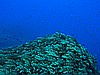 IMG_3216.JPG