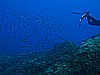 IMG_3218.JPG