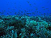 IMG_3219.JPG