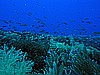 IMG_3220.JPG