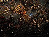 IMG_3221.JPG