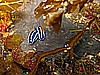 IMG_3222.JPG