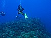 IMG_3225.JPG