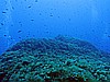 IMG_3227.JPG
