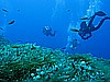 IMG_3229.JPG
