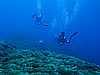 IMG_3231.JPG
