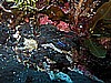 IMG_3232.JPG