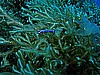 IMG_3235.JPG