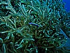 IMG_3236.JPG
