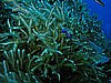 IMG_3237.JPG