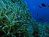 IMG_3238.JPG