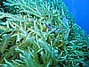 IMG_3239.JPG