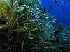 IMG_3245.JPG