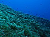IMG_3246.JPG