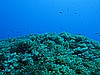 IMG_3247.JPG