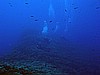 IMG_3248.JPG