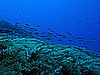 IMG_3250.JPG