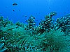 IMG_3253.JPG