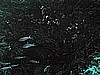 IMG_3254.JPG