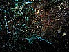 IMG_3255.JPG