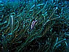 IMG_3256.JPG