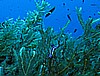IMG_3257.JPG