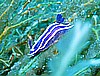 IMG_3259.JPG