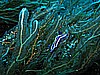 IMG_3262.JPG