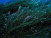 IMG_3263.JPG