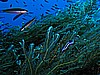 IMG_3264.JPG