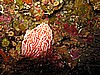 IMG_3268.JPG