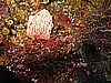 IMG_3269.JPG