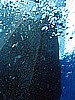 IMG_3275.JPG