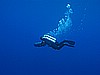 IMG_3276.JPG