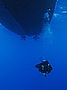 IMG_3278.JPG