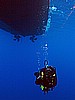 IMG_3279.JPG