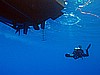 IMG_3282.JPG