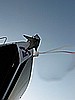 IMG_3309.JPG