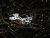 IMG_3313.JPG