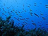 IMG_3321.JPG